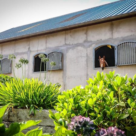 פיימפונט Le Cottage De La Doucette מראה חיצוני תמונה